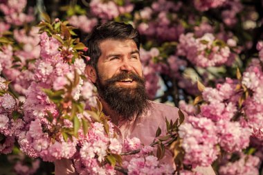 Spring holidays. Join my spring. Natural beauty. Handsome bearded man outdoors. Hipster in cherry bloom. Man in sakura blossom. Spring pink tender flowers. Weekend in garden concept. April events