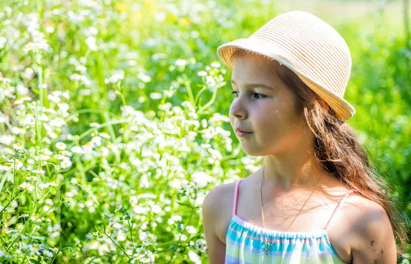 開花フィールドの前に小さな女の子の子供、夏の自然コンセプト — ストック写真