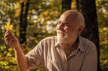 Yaşlı adam güneşli sonbahar gününün tadını çıkarıyor. Ahşap çevre. Hayatının sonbaharı. Altın sonbahar sezonu. Emekliler sarı yaprağı dışarıda tutarlar. Ekoloji. Mutlu emeklilik. Emeklilik ve emeklilik. Boş zaman ve yaşam tarzı