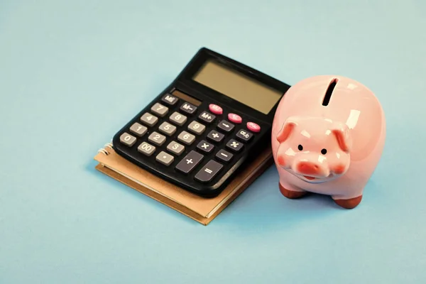 Business administration. Finance manager wanted. Trading exchange. Trade market. Finance department. Credit debt concept. Economics and finance. Calculate profit. Piggy bank pink pig and calculator
