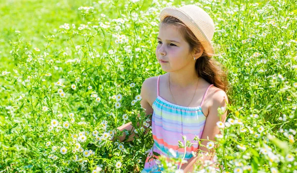 Petit enfant avec look beauté porter chapeau de soleil relaxant sur champ de fleurs de camomille sur le paysage ensoleillé d'été, journée des enfants — Photo