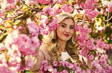 Sakura çiçeğine dalmak. Sakura çiçekleri. Çiçek Özütü. Gerekli yağlar. Doğal kozmetikler. Dişi çiçek parfümü. Pembe çiçekler etrafını sarmış. Bahar doğası. Güzel kadın makyajı, yüzü sarı saçlar.