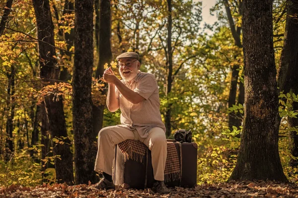 Doğa çağırıyor. Mutlu emekliler sonbahar doğasında rahatlar. Olgun adam sarı yaprakları tutar. Sonbaharda doğa. Doğal ortam. Temiz hava. Ekoloji. Idyllic manzara. Doğaya yakın.