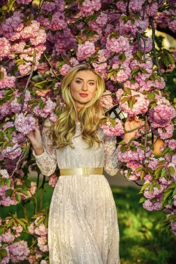 Her anın tadını çıkarıyorum. Yaz güzelliği ve moda. Parktaki seksi kadın. Kiraz çiçekli bahar kadını çiçek açıyor. Pembe çiçekli kız. Japon sakura çiçeğindeki manken. Bahar çiçeğindeki güzel kız