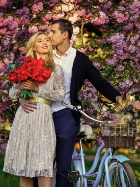 Bahar tatili. Ulaşım ve seyahat. Sakura mevsimi. Sakura ağacı çiçek açıyor. Kız ve erkek retro bisiklet sakura ağacı. Birbirine aşık bir çift. Basit anların tadını çıkarıyorum. Bisiklete binen mutlu genç çift