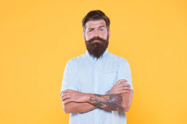 Sakallı vahşi hippi beyaz gömlekli profesyonel şef, gaddarlık.