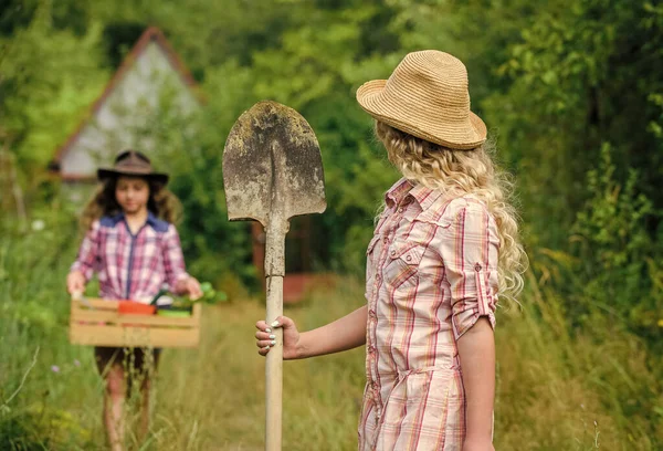 Flickor med trädgårdsredskap. Sommar på landet. Systrar hjälper till på bakgården. Barnvänliga trädgårdsredskap garanterar säkerheten för trädgårdsmästare. Trädgårdsskötsel. Trädgårdsundervisning livscykelprocess — Stockfoto
