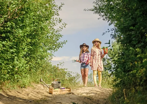 Çocuklar çiftlikte eğleniyor. Eko tarım konsepti. Bahçıvanlık aletleri olan kızlar. Kız kardeşler çiftliğe yardım ediyor. Aile çiftliğine gidiyoruz. Tarım konsepti. Şapkalı güzel kızlar çiçek dikiyorlar. — Stok fotoğraf