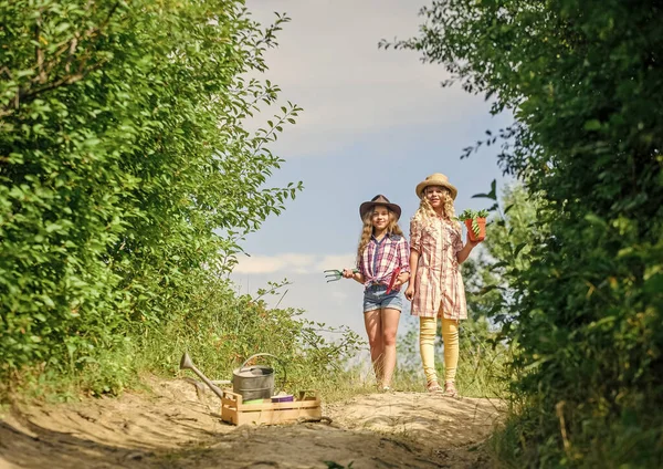 Geschwisterkinder haben Spaß auf dem Bauernhof. Konzept der ökologischen Landwirtschaft. Mädchen mit Gartengeräten. Schwestern helfen auf dem Bauernhof. Auf dem Weg zum Familienbetrieb. Landwirtschaftskonzept. Entzückende Mädchen mit Hüten gehen Pflanzen pflanzen — Stockfoto