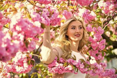 Bahar doğası. Dişi çiçek parfümü. Pembe çiçekler etrafını sarmış. Güzel kadın makyajı, sarı saçlar. Sakura çiçeğine dalmak. Sakura çiçekleri. Çiçek Özütü. Gerekli yağlar. Doğal Kozmetik