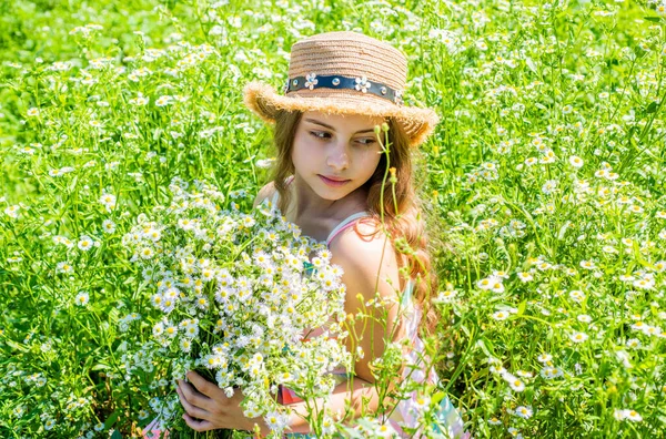 Ragazza raccolta erbe fiorite soleggiata giornata estiva, concetto di eco — Foto Stock