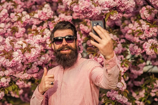 Vivre dans l'instant présent. Printemps rose fleur de sakura. Homme faisant selfie avec téléphone portable. brutal hipster mature utiliser smartphone en fleur de cerisier. homme barbu profiter fleur de sakura. se sentir heureux — Photo