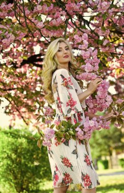 Bahar çiçeği. Mutlu bahar günleri. Bahar sembolü Kız bahçedeki sakuranın tadını çıkarıyor. Kiraz ağacı. İyi titreşimler. Çiçek aroması. Çiçeklerin kadınları neden her zaman mutlu ettiğini. Parfüm ve kozmetik. Kişisel bakım