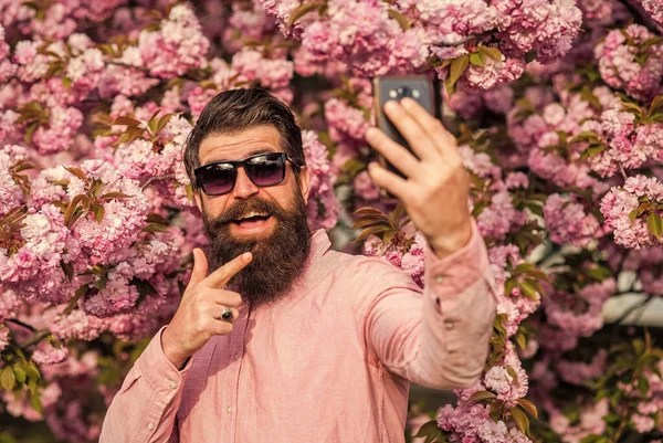 Je saisis un moment heureux. Homme barbu et élégant. Mode masculine. Le jour du printemps. Joyeuse Pâques. brutal hipster mature utiliser téléphone mobile en fleur de cerisier. homme barbu profiter fleur de sakura. être heureux — Photo