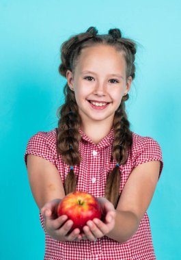 Sonbahar, sonbahar hasadından toplanan vitamin dolu elmalarla dolu mutlu genç bir çocuk.