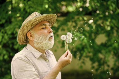 Yaz mutluluğu. Büyükbaba çiftçi. Kıdemli adam parkta karahindiba tohumları saçıyor. Hasır şapkalı yaşlı bir adam. Hafıza kaybı kavramı. Kellik ve saç dökülmesi kavramı. Mutlu ve kaygısız emeklilik
