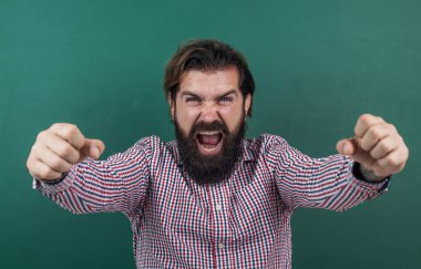 Yeşil arka planda beyaz bir hipster. Karatahtanın arka planında mutlu olgun öğretmen. Vahşi sakallı adam sıradan bir kareli gömlek giyer. Başarıyı kutlamak. parlak insan duygularını ifade et