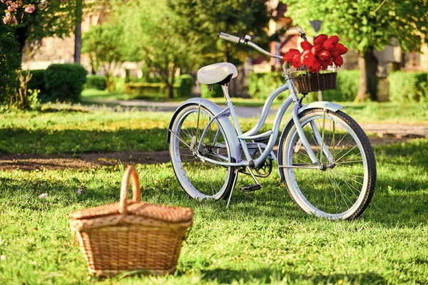 Picknickzeit. Natur-Radtour. Mieten Sie ein Fahrrad, um die Stadt zu erkunden. Retro-Fahrrad mit Picknickkorb. Fahrradverleihgeschäfte bedienen in erster Linie Reisende und Touristen. Vintage Fahrrad Garten Hintergrund — Stockfoto