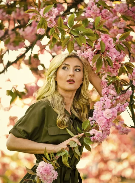 Été chaud. femme séduisante avec maquillage. fille a de longs cheveux blonds bouclés. beauté saine. fleurs de sakura rose. beauté naturelle et cosmétiques. parfum de fleur femelle. beauté du printemps nature — Photo