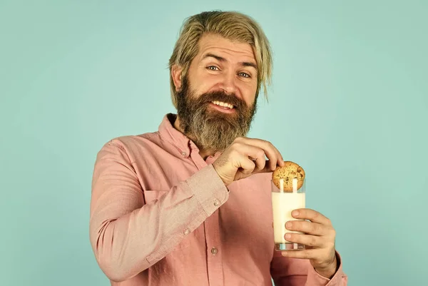 Gingerbread cookie in a hot cup of milk. American famous snack. Cookies and cream in fresh milk glass. happy farmer eat cookie dessert. bearded man drink useful milk with pastry