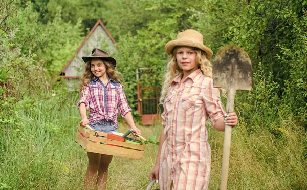 Flickor med trädgårdsredskap. Trädgårdsskötsel undervisning livscykel process. Sommar på landet. Systrar hjälper till på bakgården. Trädgårdsskötsel. Barnvänliga trädgårdsredskap garanterar säkerheten för trädgårdsmästare — Stockfoto