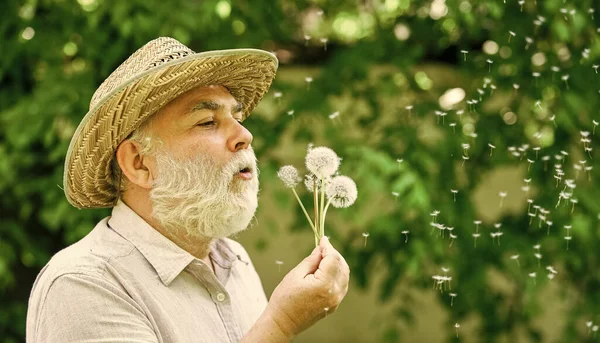 Ensam farfar blåser maskrosfrön i parken. Psykisk hälsa. Sinnesfrid. Lugn och ro. Lugn och ro. Harmoni i själen. Äldre man i halmhatt. Glad och bekymmerslös pensionering — Stockfoto