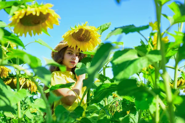 Wesołe dziecko w słomkowym kapeluszu wśród żółtych kwiatów. Mała dziewczynka w letnim polu słonecznika. Szczęśliwego dnia dzieci. szczęście z dzieciństwa. Portret szczęśliwego dziecka z pięknym słonecznikiem. Ostrzeżenie atmosfery — Zdjęcie stockowe
