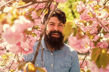Pembe narin çiçek. Bahçe konseptinde hafta sonu. Etrafı çiçeklerle çevrili. Çiçeklerin arasında saklanıyor. Dışarıdaki yakışıklı sakallı adam. Mutlu Paskalyalar. Kiraz çiçeğindeki vahşi hippi. Sakura çiçekli adam.