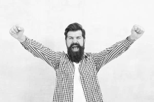 Happy bearded man celebrate victory keeping arms upward fingers clenched winning gestue blue background, winner — Stock Photo, Image