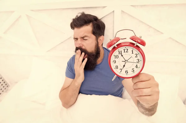 Hora de despertarse. Hábitos saludables. Comienzo de un día increíble. Despierta temprano cada mañana. Beneficios para la salud de levantarse temprano. Despertarse temprano da más tiempo. Hipster barbudo hombre en la cama con despertador — Foto de Stock