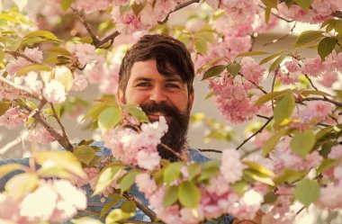 Çiçeklerin arasında saklanıyor. Dışarıdaki yakışıklı sakallı adam. Mutlu Paskalyalar. Kiraz çiçeğindeki vahşi hippi. Sakura çiçekli adam. Pembe narin çiçek. Bahçe konseptinde hafta sonu. Etrafı çiçeklerle çevrili.