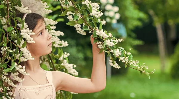 As minhas memórias. Natureza de verão. moda cabeleireira feminina. menina pequena com cabelo encaracolado longo. pouca beleza em vestido branco. Menino anjo do casamento. criança desfrutar de jasmim flor no parque. árvore florescendo primavera — Fotografia de Stock