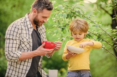 Mutlu aile birlikte. Babalar günün kutlu olsun. Babasıyla küçük çocuk kahvaltı yapıyor. çocukluk mutluluğu. Bebek maması. Sağlıklı beslenme. Güne sağlıklı yiyeceklerle başlıyoruz. Oğul ve baba sütlü yulaf lapası yiyor.