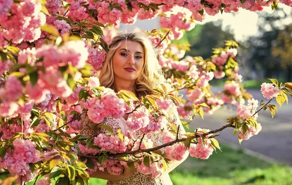 Yaz tatili. Kızın uzun kıvırcık sarı saçları var. Sağlıklı güzellik. Pembe sakura çiçekleri. Doğal güzellik ve kozmetik. Kadın çiçek parfümü. Bahar doğasının güzelliği. Makyajlı çekici kadın — Stok fotoğraf