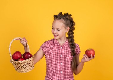 Genç kız sepetinde elma taşıyor. Sonbahar hasadı. Bahar mevsimi meyveleri. Vitamin dolu. Sadece organik yiyecekler. Doğal ve sağlıklı. Mutlu çocukluk. Çocuk elma yiyor. Meyveli çocuk