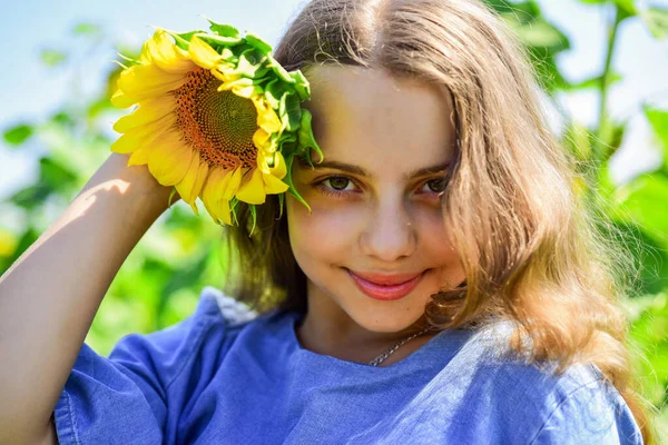 Vackert ansikte liten flicka spelar solrosor natur bakgrund, skönhet koncept — Stockfoto