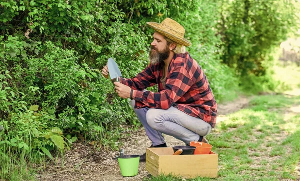 Naturalna gleba. Wiosenna koncepcja ogrodu. Ogrodnicy ręce sadzić kwiaty na podwórku. Ogrodnik sadzenie kwiatów w glebie brudnej. Hodowca sadzi sadzonki w ogrodzie ekologicznym. Szczęśliwy człowiek. ludzie w łóżkach ogrodowych — Zdjęcie stockowe