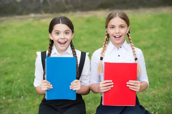 Szczęśliwe dzieci w mundurkach szkolnych pokazują kolorowe szkolne okładki na świeżym powietrzu, książki — Zdjęcie stockowe