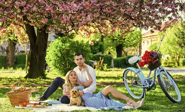Мы сильны. Пикник в День Святого Валентина. романтический пикник в парке. Пара свиданий на одеяле под цветами сакуры. кемпинг. счастливая влюбленная пара. женщина и мужчина лежат в парке и наслаждаются днем вместе — стоковое фото