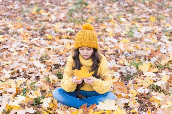 The color is vibrant. Little child hold maple leaf. Adorable little baby play with yellow foliage. Cute little kid sit on fall leaves. Little girl in autumn fashion style outdoor — Stock Photo, Image