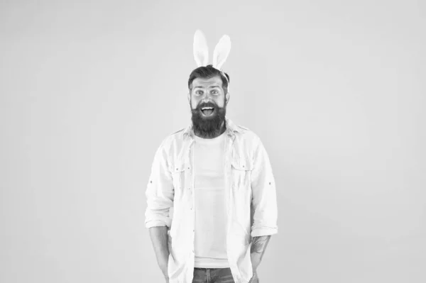 Lapin de Pâques. Joyeux hipster porter des oreilles de lapin. Lapin fond vert lapin. Lapin barbu dans un style décontracté. Printemps et fertilité. Célébration — Photo