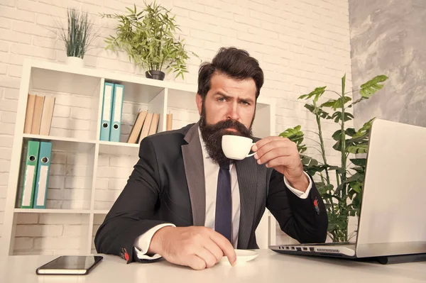 Cómodo espacio de trabajo. Traje formal hipster barbudo relajándose con café. La vida de oficina es impensable sin un buen café. Sala de recepción. Un director respetable. Hombre guapo jefe sentarse en la oficina beber café — Foto de Stock