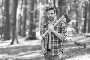 Açık ekose gömlekli seksi oduncu. Kot pantolonlu. Yaz ormanlarında baltayla geziyor.