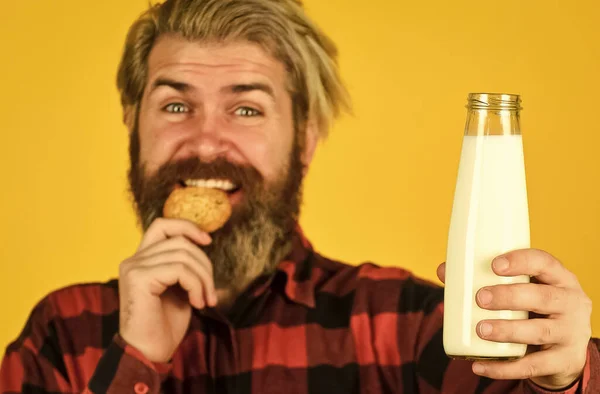 Amerikaanse beroemde snack. Koekjes en room in vers melkglas. gelukkige boer eet koekjesdessert. Een man met een baard drinkt nuttige melk met gebak. Peperkoek koekje in een warme kop melk — Stockfoto