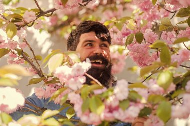Bahçe konseptinde hafta sonu. Etrafı çiçeklerle çevrili. Çiçeklerin arasında saklanıyor. Dışarıdaki yakışıklı sakallı adam. Mutlu Paskalyalar. Kiraz çiçeğindeki vahşi hippi. Sakura çiçekli adam. Pembe narin çiçek
