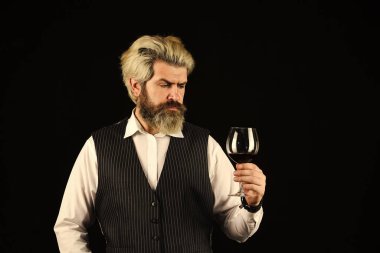 Barmen Degustation 'da kırmızı şarap tadıyor. Erkek şarap garsonu içkinin değerini biliyor. Bir kadeh kırmızı şarap. Şarap mahzeninde nefis bir içkiyle barmen. Tecrübeli şarap garsonu.