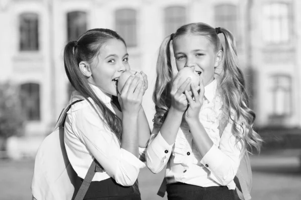 Garantir um equilíbrio diário saudável. Meninas felizes comem maçãs ao ar livre. Um lanche da escola. Dieta saudável. Dieta vegetariana e dieta. Comida saudável. Vitamina. Natural e orgânico. Incentivar hábitos alimentares saudáveis — Fotografia de Stock