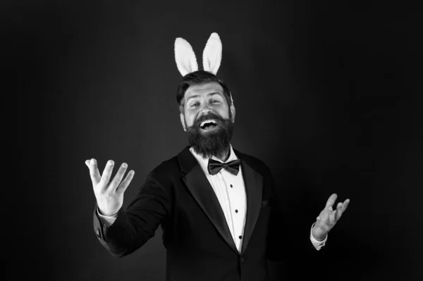 Celebration Easter holiday. Easter day. Event host. Celebrate Easter. Let me be your bunny. Bearded man with long ears. Businessman with long ears. Handsome man wear bunny costume accessory