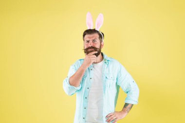 Yüz şeklin için sakal. Paskalya tavşanı sarı arka plana dokunur. Sakallı, şık sakallı adam tavşan kulağı takıyor. Erkekler tımar ediliyor. Berber salonu. Berber dükkanı. Sakalına özen gösteriyorum.