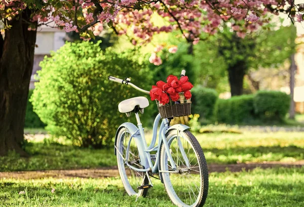 Romantic date. season of love. beauty of spring. retro bicycle with tulip flowers in basket. vintage bike in park. sakura blossom in spring garden. nature full of colors and smells. relax and travel — Stock Photo, Image